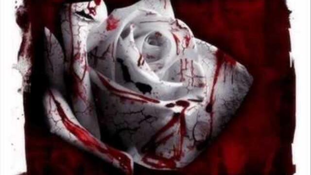 djansever - placheshto sarce