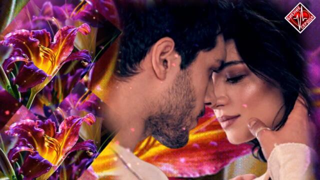 Edgar  -  Я люблю тебя одну