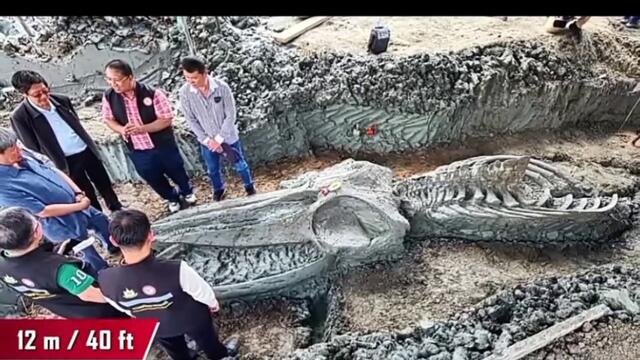 Strange Discovery Uncovered by Scientists and Archeologists