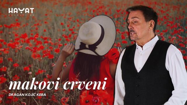 DRAGAN KOJIĆ KEBA – Makovi crveni [Official Video 2021]