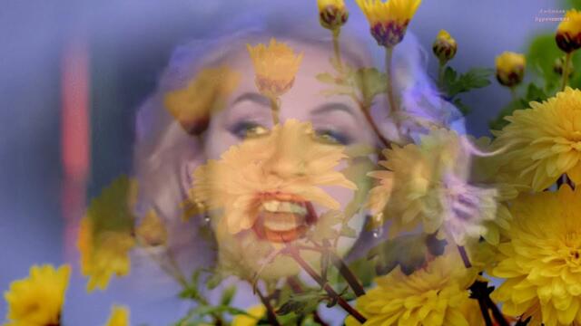 Нина Орлова  -  Хризантемы в снегу