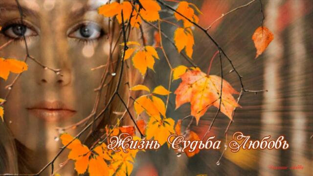 Жизнь Судьба Любовь