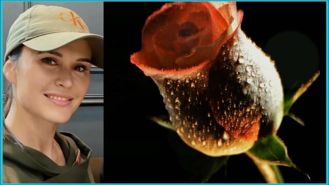 Ярослав Сумишевский   -   У БЕДЫ ГЛАЗА ЗЕЛЁНЫЕ, сердце выпрыгивает ...