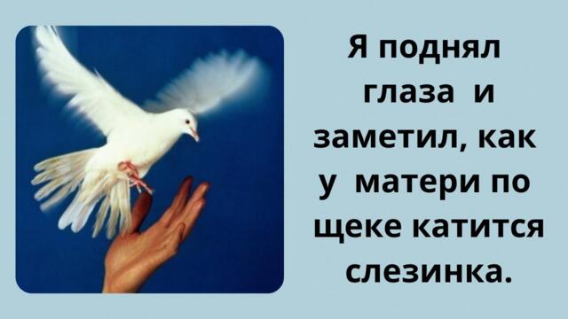После смерти Души людей превращаются в птиц. А чья душа жила в том белом голубе?...