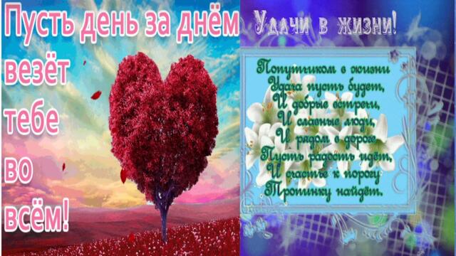 Пожелания Замечательного Дня И Прекрасного Настроения