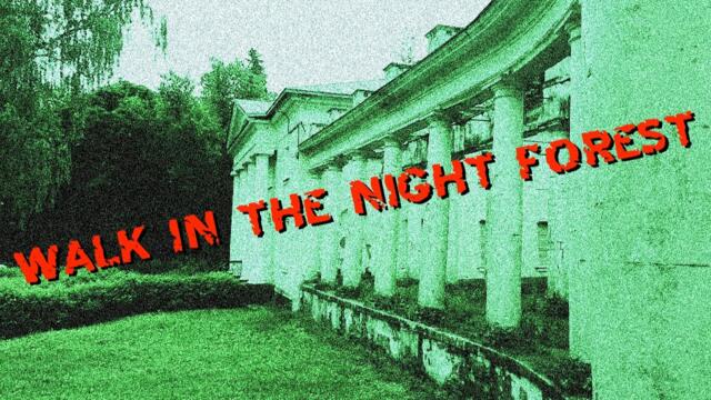 ПРОГУЛКА ПО НОЧНОМУ ЛЕСУ / ЗВУКИ ПРИРОДЫ / WALK IN THE NIGHT FOREST / NATURE SOUNDS