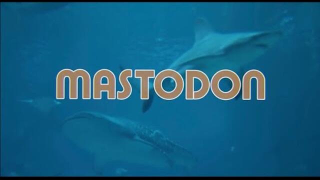 Mastodon…Captured Live at Georgia Aquarium Full performance