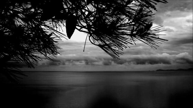 Η διπλανή πόρτα (Δόξας Κώστας Γ.)