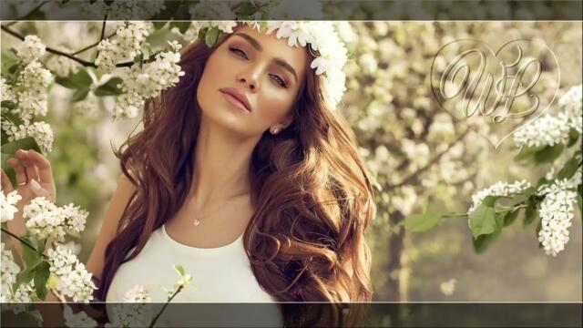 МУЗЫКАЛЬНЫЙ РАСКАРДАШ ♫ НОВАЯ ДИСКОТЕКА ШАНСОНА ♫ КРАСИВЫЕ ПЕСНИ ♫