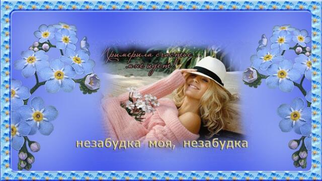 Н Жуков   -   Незабудка