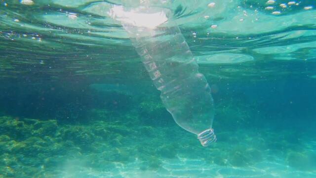 Сергей Чекалин   ОКЕАН