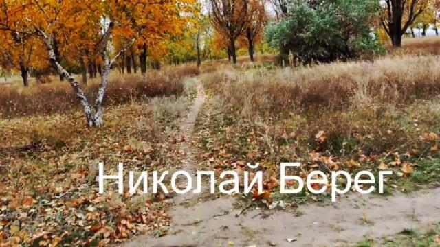 Николай Берег   -   Я ТАК СКУЧАЮ ПО ТЕБЕ