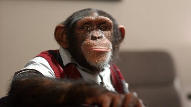 Коледна ваканция 2: Островното приключение на братовчеда Еди (синхронен екип, дублаж по b-TV Comedy на 21.09.2013 г.) (запис)