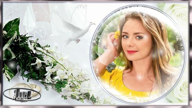 АЗАРКИН МАКС  -  ГДЕ ТЫ!