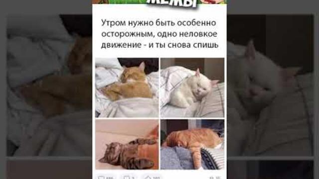 #мемы #приколы #юмор #лютыеприколы #озвучкамемов #озвучка #мемы2021  #мемыпро100