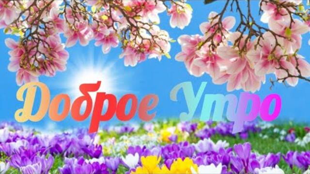 ДОБРОГО УТРА ВЫХОДНОГО ДНЯ ! ВСЕМ РАДОСТИ , СЧАСТЬЯ И ВЕСЕЛЬЯ !