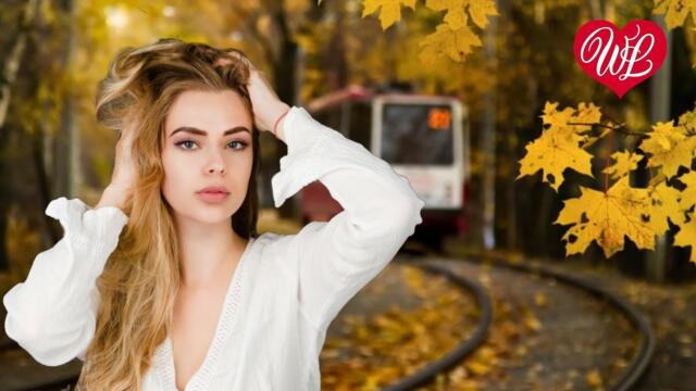 Стас Михайлов   -   ТРАМВАЙ