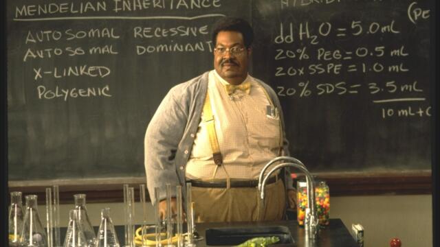 Смахнатият професор (синхронен екип 2, дублаж на студио VMS, 17.07.2021 г.) (запис)