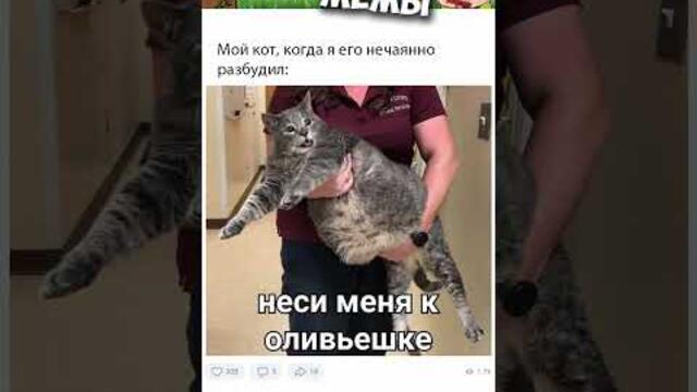 #мемы #приколы #юмор #лютыеприколы #озвучкамемов #озвучка #мемы2021  #мемыпро100  #приколы2021