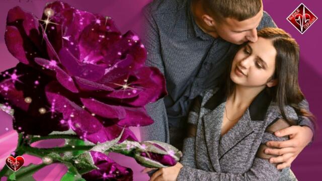 Ольга Дроздова -  Женское счастье