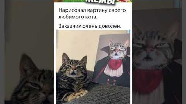 #мемы #приколы #юмор #лютыеприколы #озвучкамемов #мемыскотами #смешныекоты #смешныекошки #мемыдня