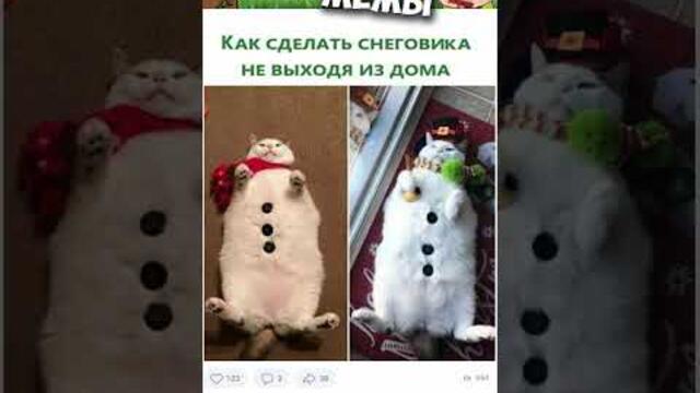 #мемы #приколы #лютыеприколы #озвучкамемов #мемыскотами #смешныекошки #смешныекоты #мемыпро100