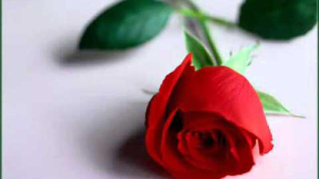 Toni Storaro Umorih se