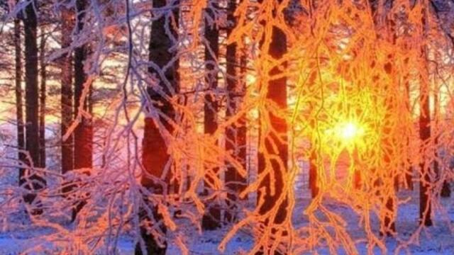 Сон волшебный Зима