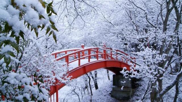 ЗИМНИЕ  ЧУДЕСА...