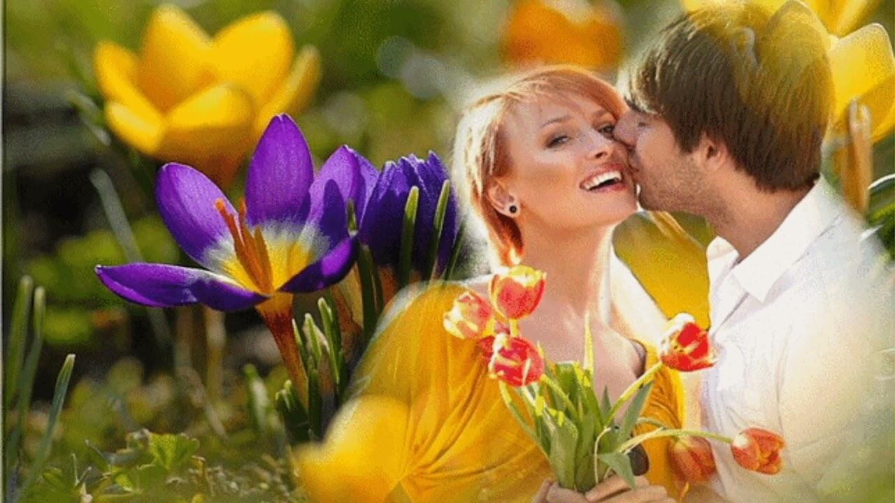 Гифка дарит цветок. Мужчина дарит цветы женщине. Девушка с тюльпанами.