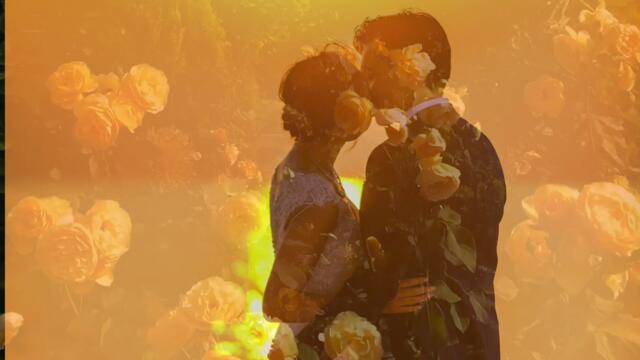 СВЕТА ЛАНИКА - ЧАЙНЫЕ РОЗЫ