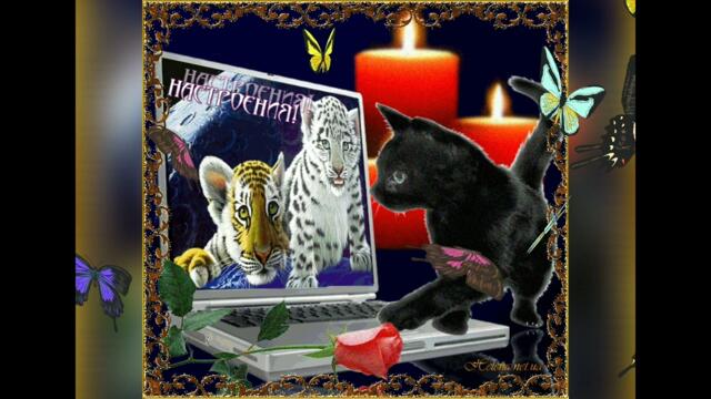 ДОБРЫЙ ВЕЧЕР/ Вечернее настроение/ Красивая музыка/