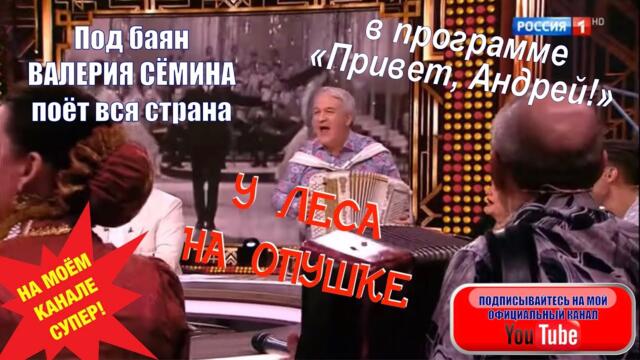 Под БАЯН Валерия СЁМИНА вся страна поёт песню "У ЛЕСА НА ОПУШКЕ" 🔥 в программе “Привет, Андрей!”🇷🇺