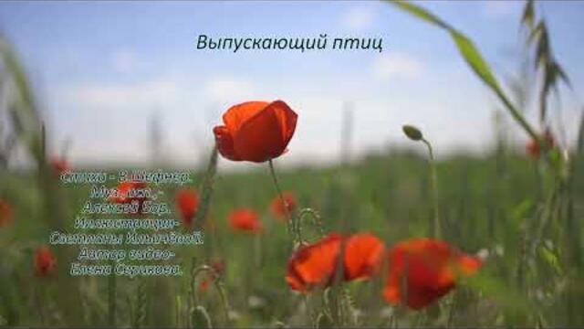 Алексей Бор  -  Выпускающий птиц