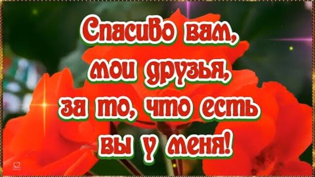 💖Спасибо вам, мои друзья, за то, что есть вы у меня!💖С Международным днём спасибо!💖💌