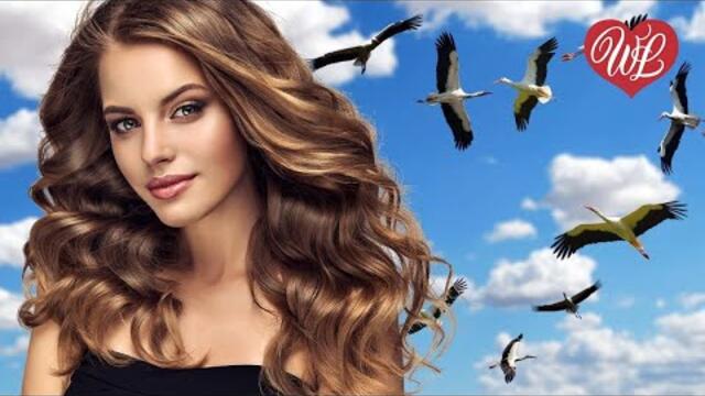 Зоя Левада   -   ТЫ МНЕ Я ТЕБЕ