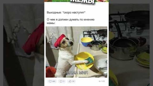 #мемы #приколы #юмор #мемы2022 #лютыеприколы #озвучкамемов #смешныекоты #приколы2022 #мемыпро100