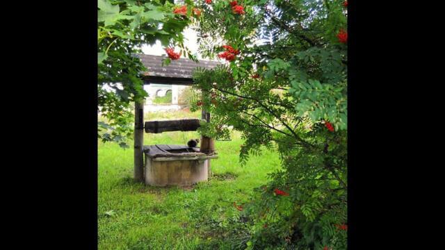 Виктор Бекк   -   Домик у колодца.