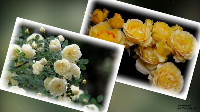 Хорошего настроения!