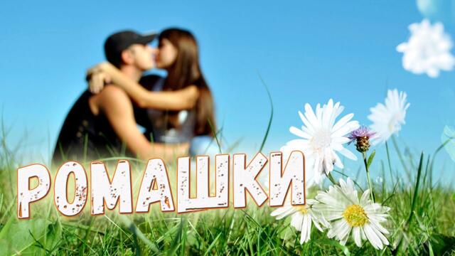 Гр. Мы из 90х - Ромашки