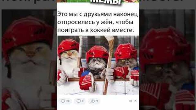 Лютые приколы и мемы #приколы #лютыеприколы #мемы2022 #юмор #коты #смешныекошки #мемыпро100 #мемчики