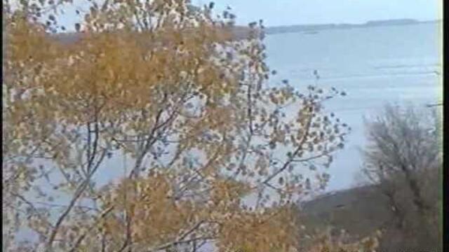 СВИЩОВ,ДУНАВА И "БЕРЕГА,БЕРЕГА"....