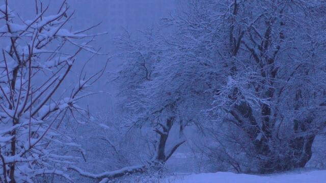 IULINA (Иулина Костюхова)  - Белая зима