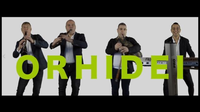 орк. Oрхидеи - Че Kой Mъ Дя