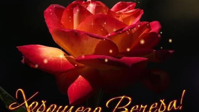 Хорошего и доброго вечера!