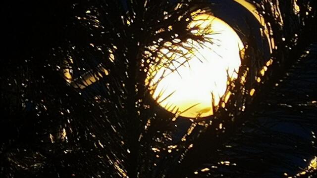 СОЛНЫШКА В ДУШЕ, МОЯ ЛЮБОВЬ...