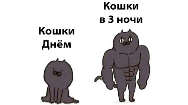 #мемы2022 #смешныекоты #мемы #кошки #юмор #мемыскотами #смешныесобаки #мемыдня #коты #про100мемы