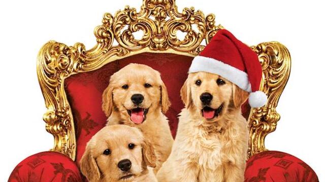 Златна Коледа (синхронен екип 2, дублаж по Диема Фемили на 29.01.2022 г.) (запис)