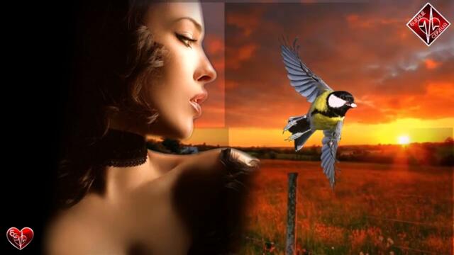 Афина - Новая страница