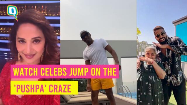 Watch Madhuri Dixit, Hardik Pandya, David Warner and Others Groove On The 'Pushpa' Songs